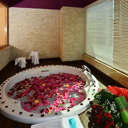 Adenya & Halal Alanya