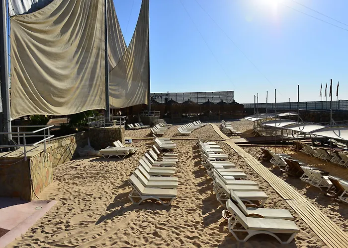 Adenya & Halal Avsallar