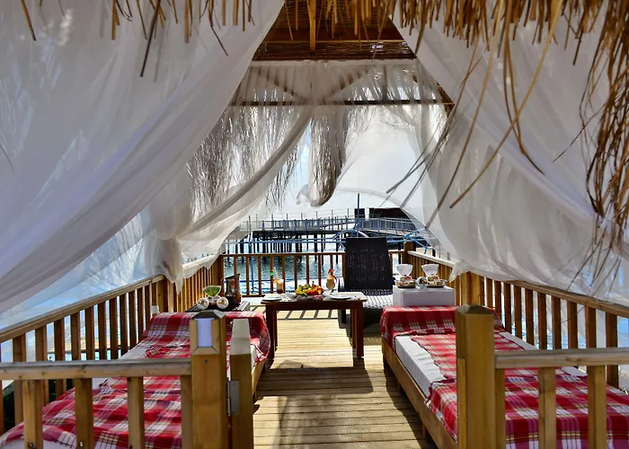 Adenya & Halal Avsallar