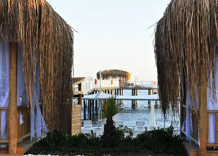 Adenya & Halal 5* Avsallar